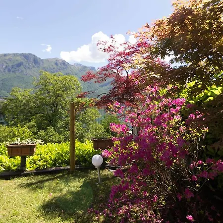 Miralago Al Sole Lejlighed Oliveto Lario